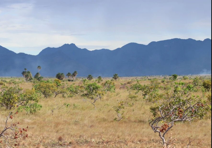 Kanuku Mountains, Guyana